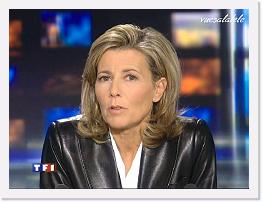 TF1 2008-02-15 20-22-44 * 768 x 576 * (155KB)